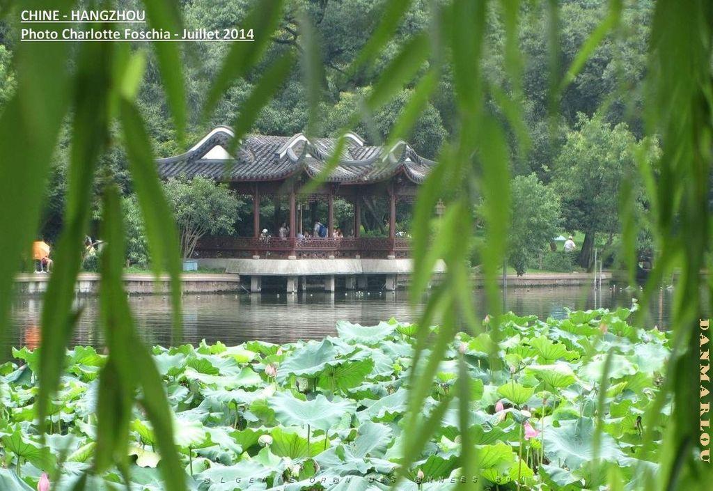 Charlotte- Hangzhou 003.JPG